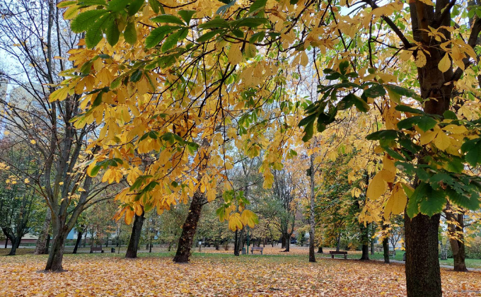 Baner 188