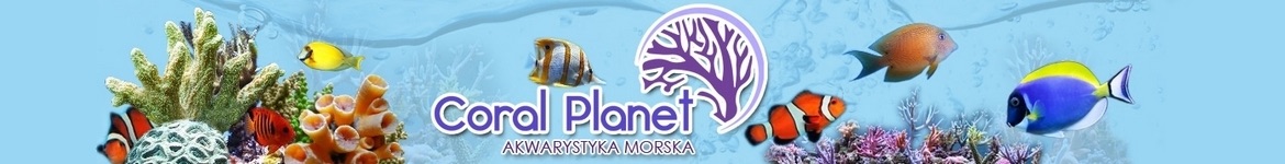 Coral Planet - akwarystyka morska