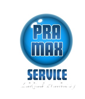 PRA-MAX Service