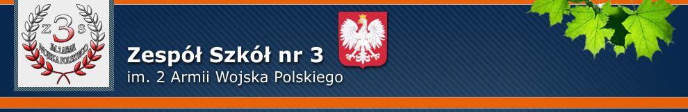 Szkoła Policealna nr 9 (ZS nr 3)