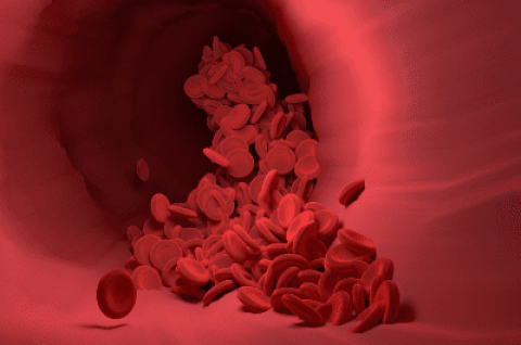 Akcja krwiodawstwa na Mokotowie!