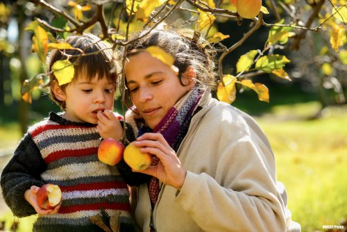 Jak wykształcić zdrowe nawyki żywieniowe u dziecka?