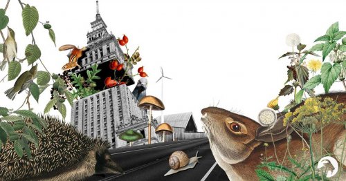 Przyrodniczy wtorek z ekspertem - 