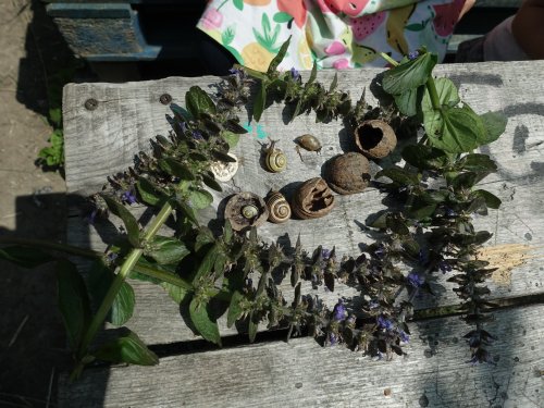  Zielone ścieżki Siekierek - tajemnice czarnego złota i nie tylko