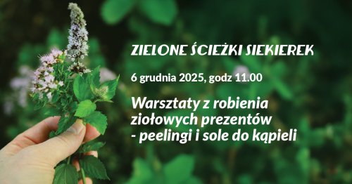 Zielone Ścieżki Siekierek - warsztaty z robienia ziołowych prezentów