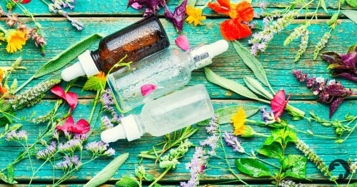 Warsztaty tworzenia perfum botanicznych 