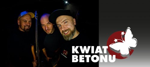 Koncert zespołu Kwiat Betonu