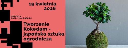 Tworzenie Kokedam Świętujemy Dzień Ziemi. Warsztaty florystyczne dla dorosłych