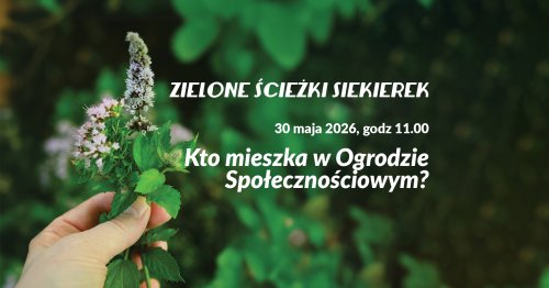 Warsztaty 