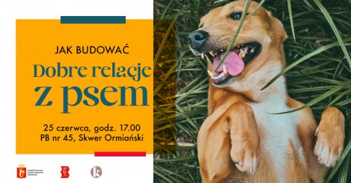 Jak budować dobre relacje z psem