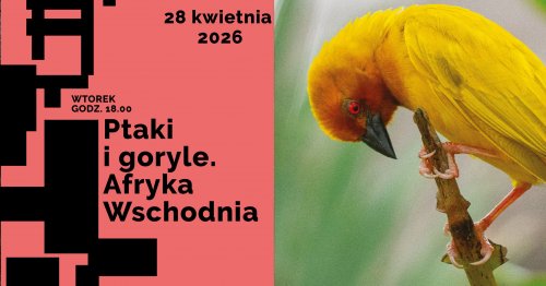 Ptaki i goryle. Afryka Wschodnia i Kongo: spotkanie globtroterów