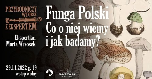 Funga Polski. Co o niej wiemy i jak badamy? / wykład z cyklu Przyrodniczy wtorek z ekspertem
