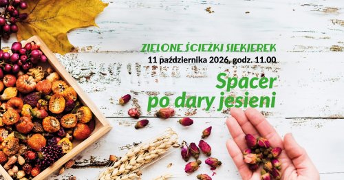 ZIELONE ŚCIEŻKI SIEKIEREK: Spacer po dary jesieni