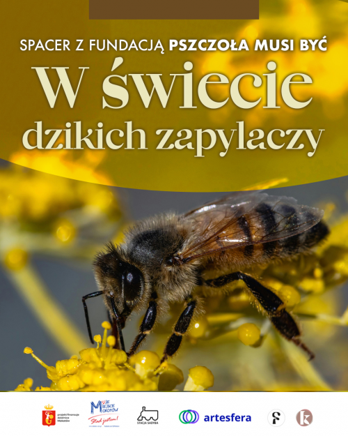 W świecie dzikich zapylaczy